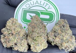 New York Sourz Strain