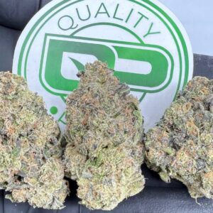 New York Sourz Strain