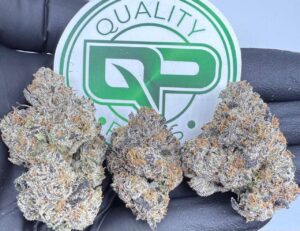 Brainwash Strain