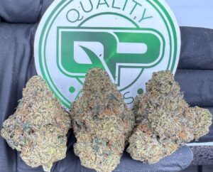 Snow Montana Strain