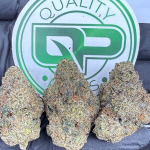 Snow Montana Strain
