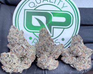 Professor X Strain