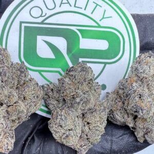 Watermelon Zlushie Strain