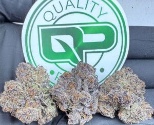 Lemon Cherry Guava Strain