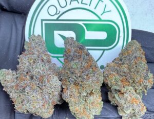 Sour Cherry Strain