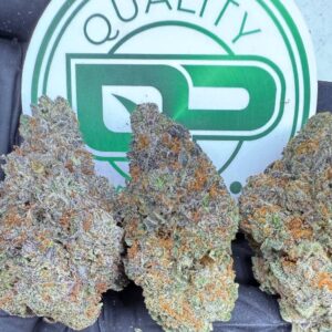 Sour Cherry Strain