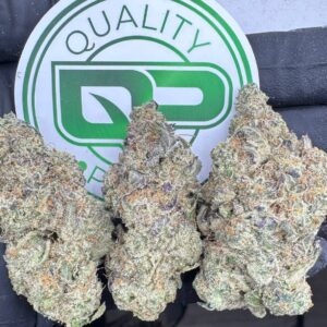 Banana Conola Strain