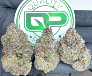 Orange Kool aid Strain