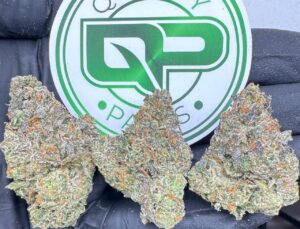 Scotties Cake Strain