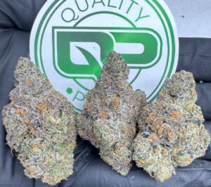 Hotscotti Strain