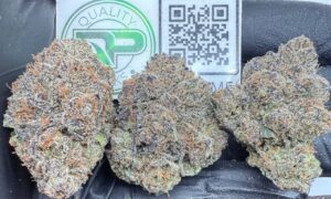 Ube Mochi Strain