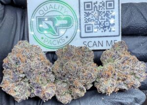 Gruntz Strain