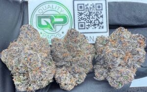 Mangosteen Gelato Strain