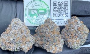 Loganberry Zlushie Strain
