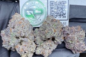 Bonita Applebum Strain