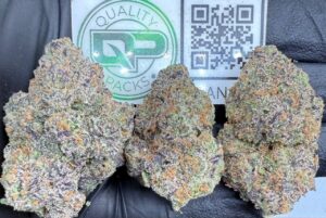 Berry Gang Strain
