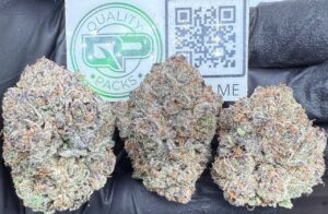 Limeaid Gelato Strain