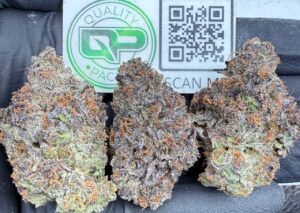GALACTIC RUNTZ STRAIN