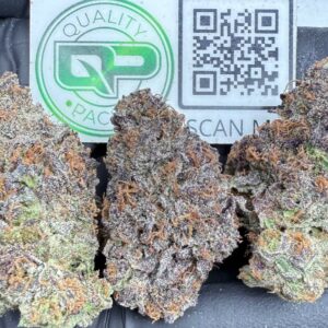 GALACTIC RUNTZ STRAIN