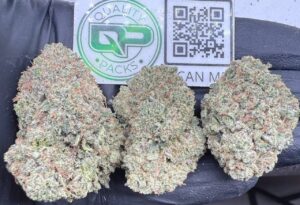 Lime Rainbow Sherbert Strain