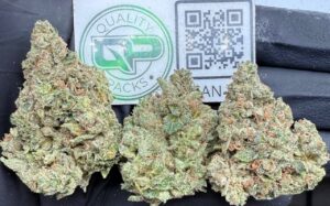 Greenlatto Strain