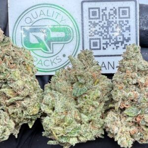 Greenlatto Strain