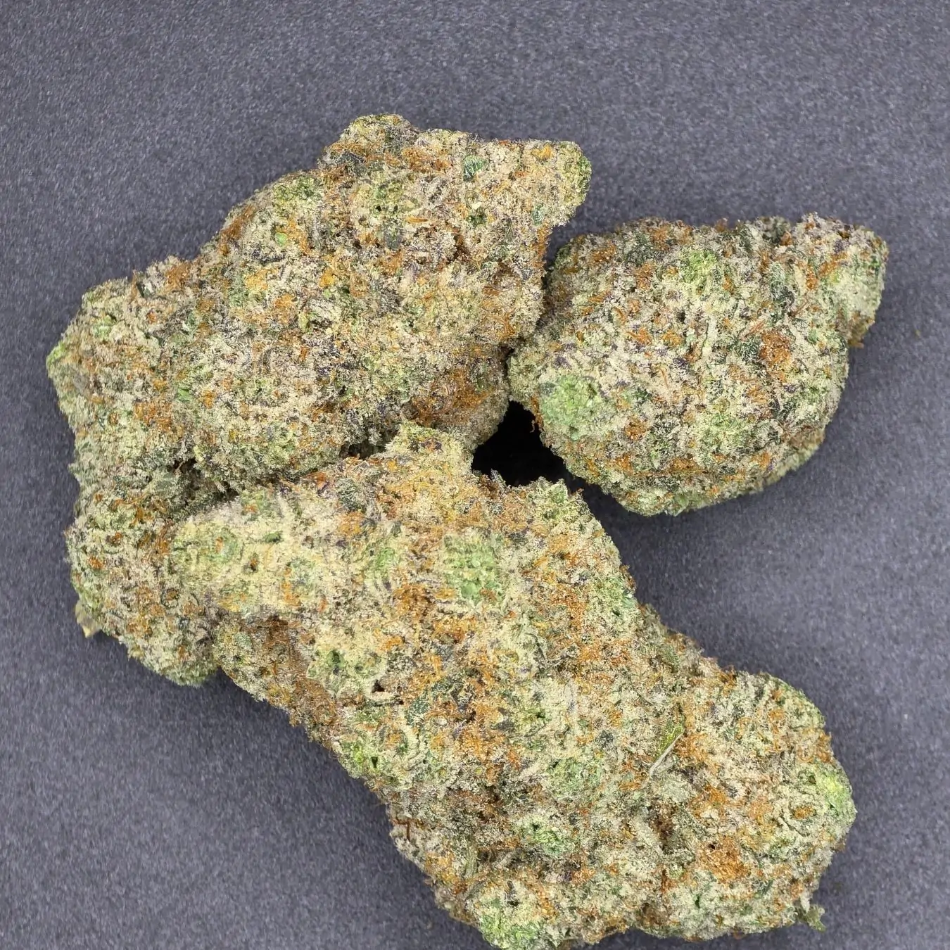 Kali Dog Marijuana Strain